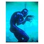 Seal - Human Being